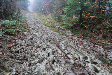 bieszczadzkie błoto