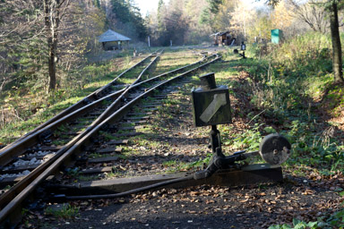 stacja kolejki wąskotorowej w Balnicy