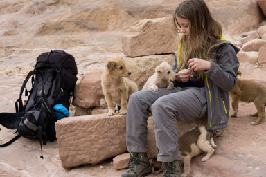 zabytki zabytkami, ale szczeniaki najważniejsze
