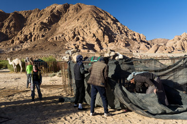 przy okazji wszyscy stawiamy obozowisko dla pasterzy