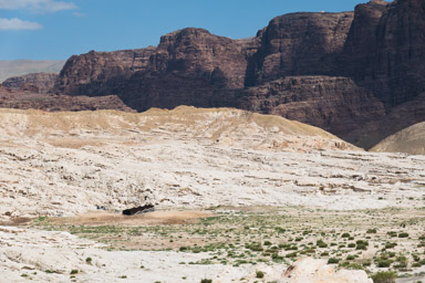 obozowisko Beduinów w Gaa'Mriebed