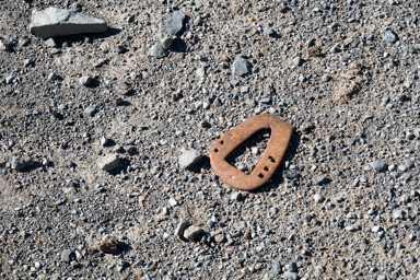 muły - najlepszy środek transportu w górach, mają bardzo charkaterystyczne podkowy