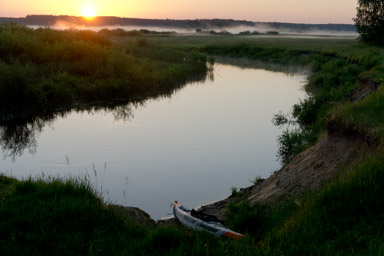 o świcie (godz.4) budzi chór ptaków