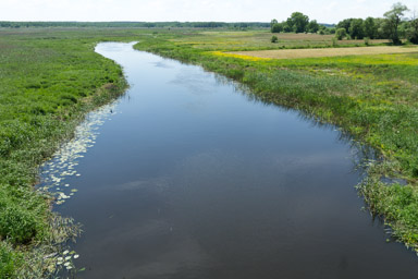 za Surażem nominalnie zaczyna się Narwiański Park Narodowy