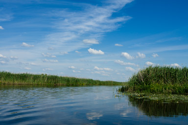 dwa kolejne dni to labirynt wśród trzcin
