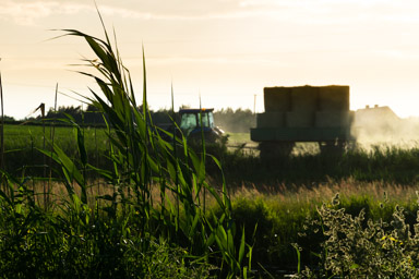 wokoło szczyt prac polowych
