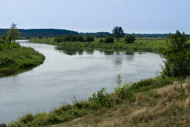 Odcinek od Tomaszowa do Spały dość nudny, bezdrzewny.