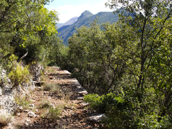 stara (lub starożytna) droga z Neodusy do Kalamaty