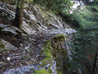 stara droga prowadząca z Kardamyli do Sparty