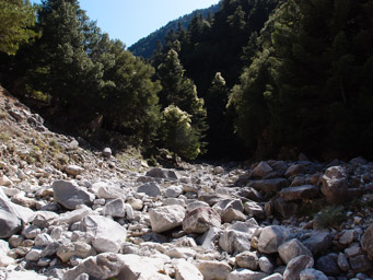 w wąwozie Viros schodzącym spod samego szczytu, aż do morza (jakieś półtorej kilometra w pionie)