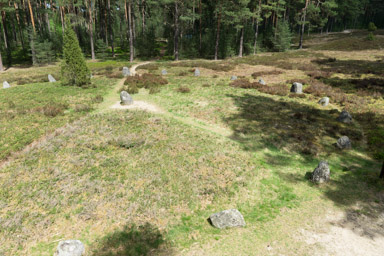 Rezerwat Przyrody Kręgi Kamienne w Odrach