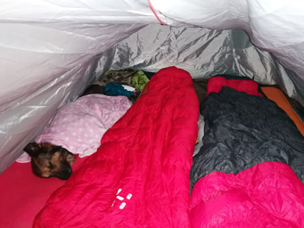 noc zapowiada się zimna (-2 st.C)